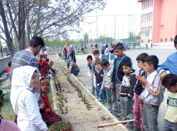 Okulumuzda Tarım İl Müdürlüğünün "Okullar Güzelleşiyor" Projesi Kapsamında 1000 adet Çiçek  Dikimi Yapılmıştır.